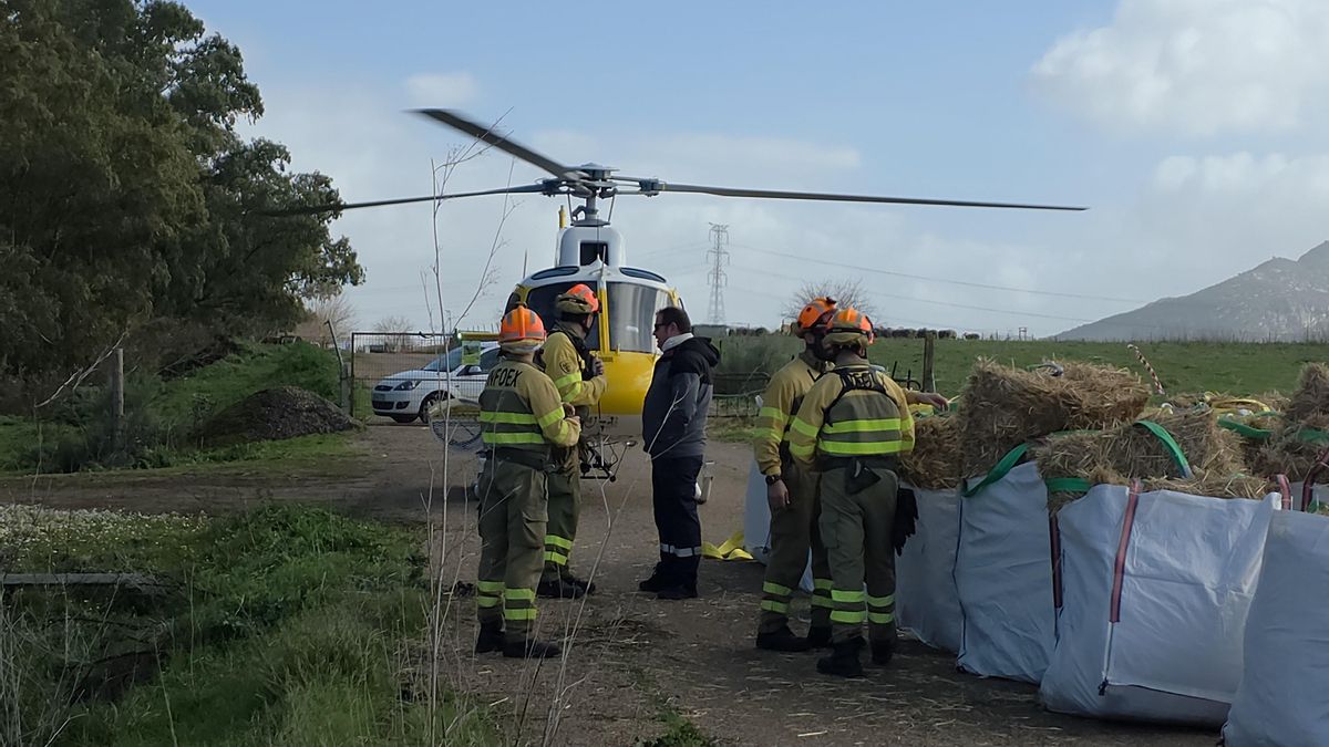Un helicóptero de la Junta de Extremadura lleva comida a medio millar de ovejas aisladas por las lluvias desde hace una semana