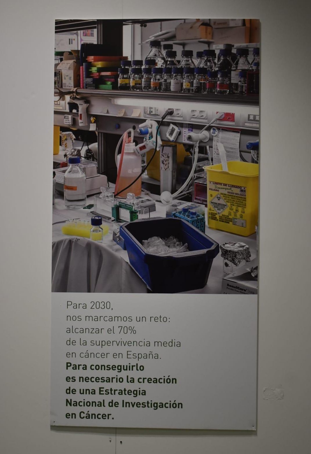 Investigación 2030