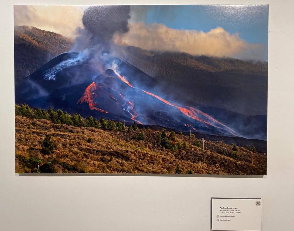 Una imagen de la exposición de Andrea Domínguez