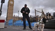 El Reino Unido endurecerá los castigos por atacar a perros policía