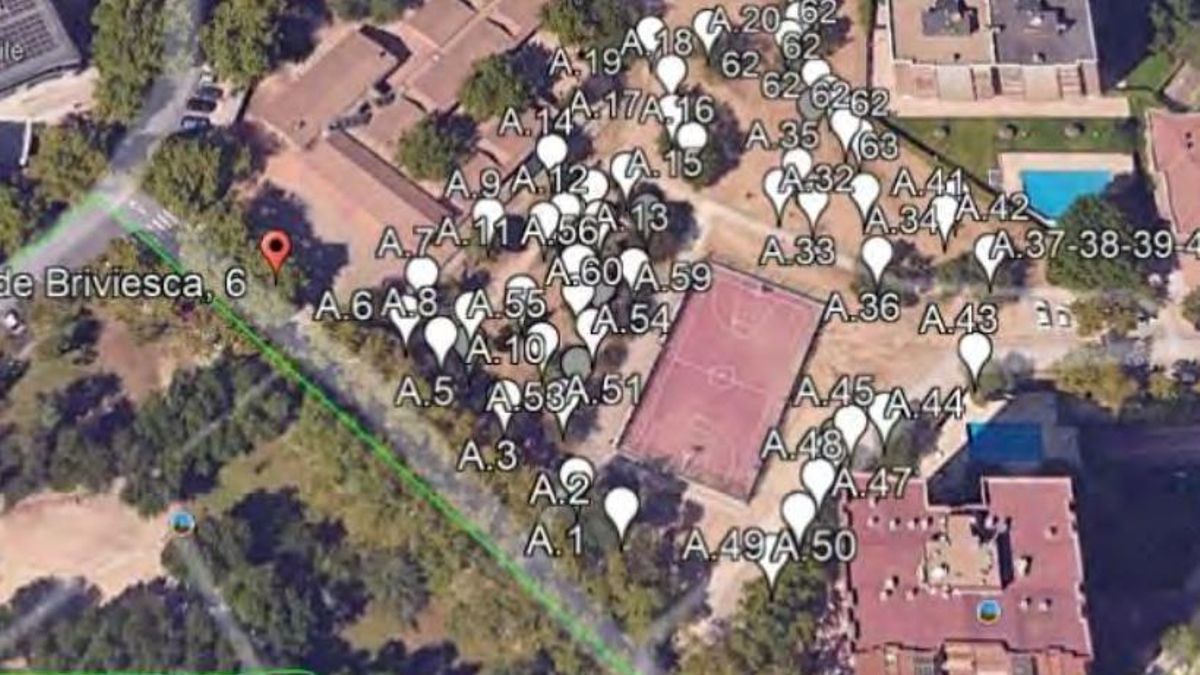 El Ayuntamiento de Madrid planea talar 67 árboles, tres de ellos centenarios, por las obras de un pabellón en Ciudad Lineal