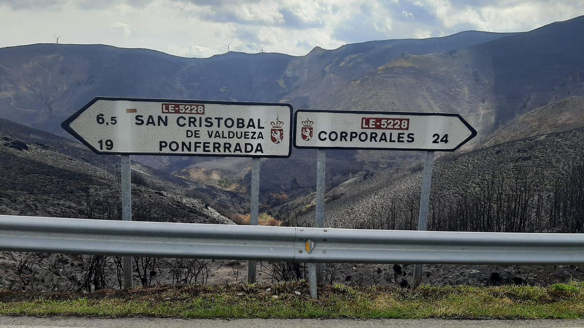 Cruce de San Cristóbal y Corporales por donde pasará la Vuelta Ciclista a España, arrasado por el fuego este verano.