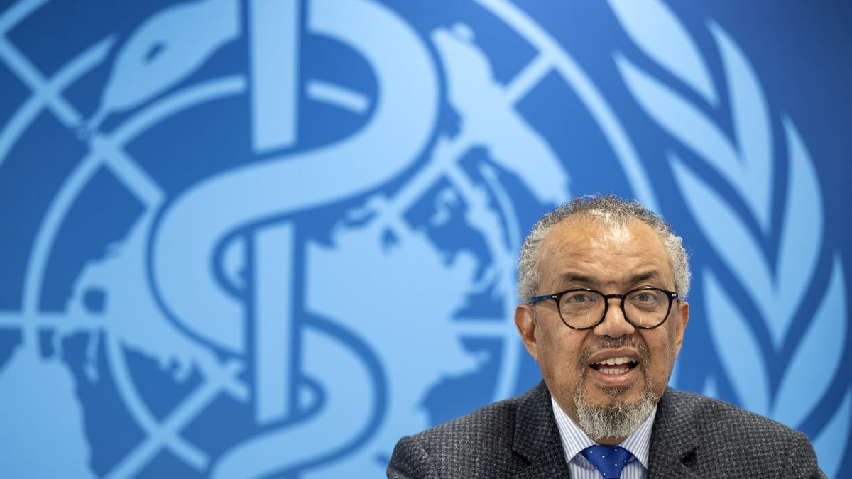 El brote de hantavirus en un crucero no es una amenaza para la población general, según la OMS