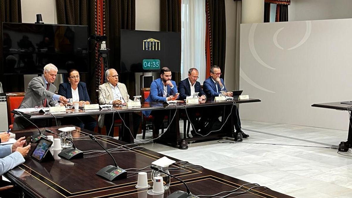 Comisión de Cabildos del Parlamento de Canarias  celebrada este jueves.