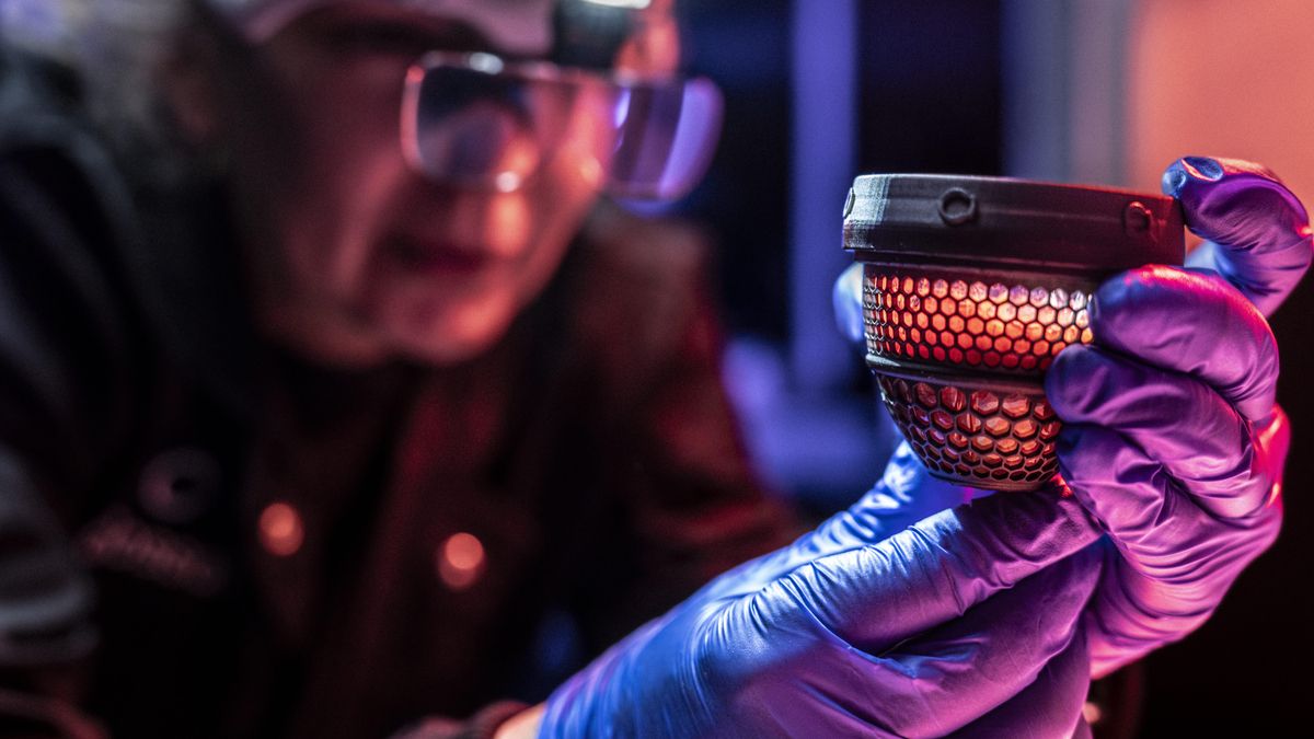 La empresa que quiere ‘resucitar’ mamuts dice ahora haber reinventado el huevo para incubar aves gigantes del pasado