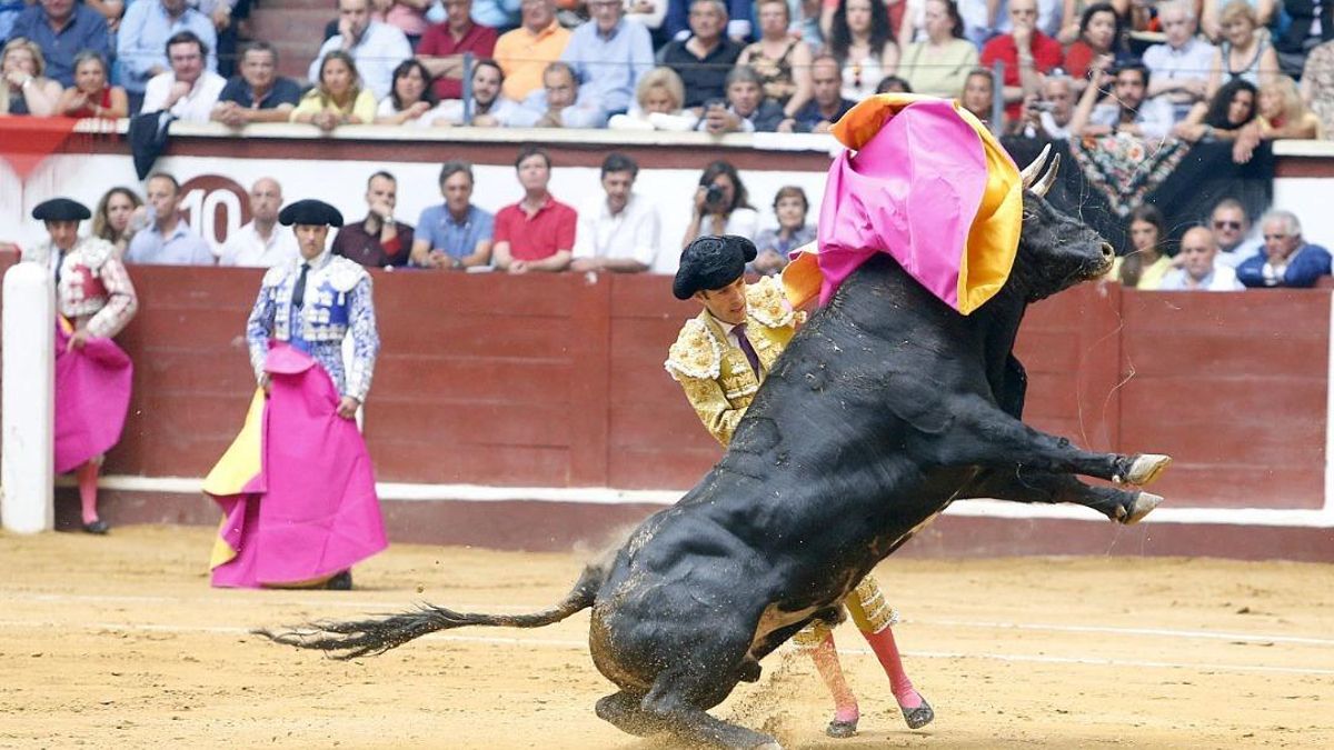 Pacma convoca una concentración contra los festejos taurinos en la provincia de León por las fiestas de San Juan