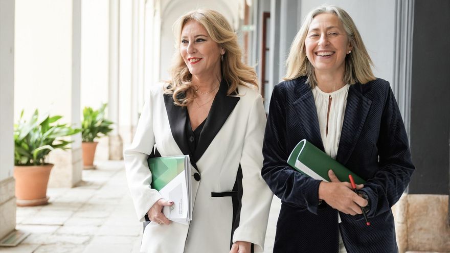 El Gobierno andaluz desaira ante la jueza a sus propios interventores por censurar los contratos sanitarios troceados