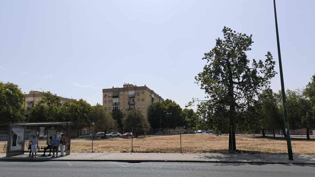 Una mirada vecinal desde el Polígono Sur ante la mezquita de Sevilla: "Aquí los problemas son la pobreza y la marginación"