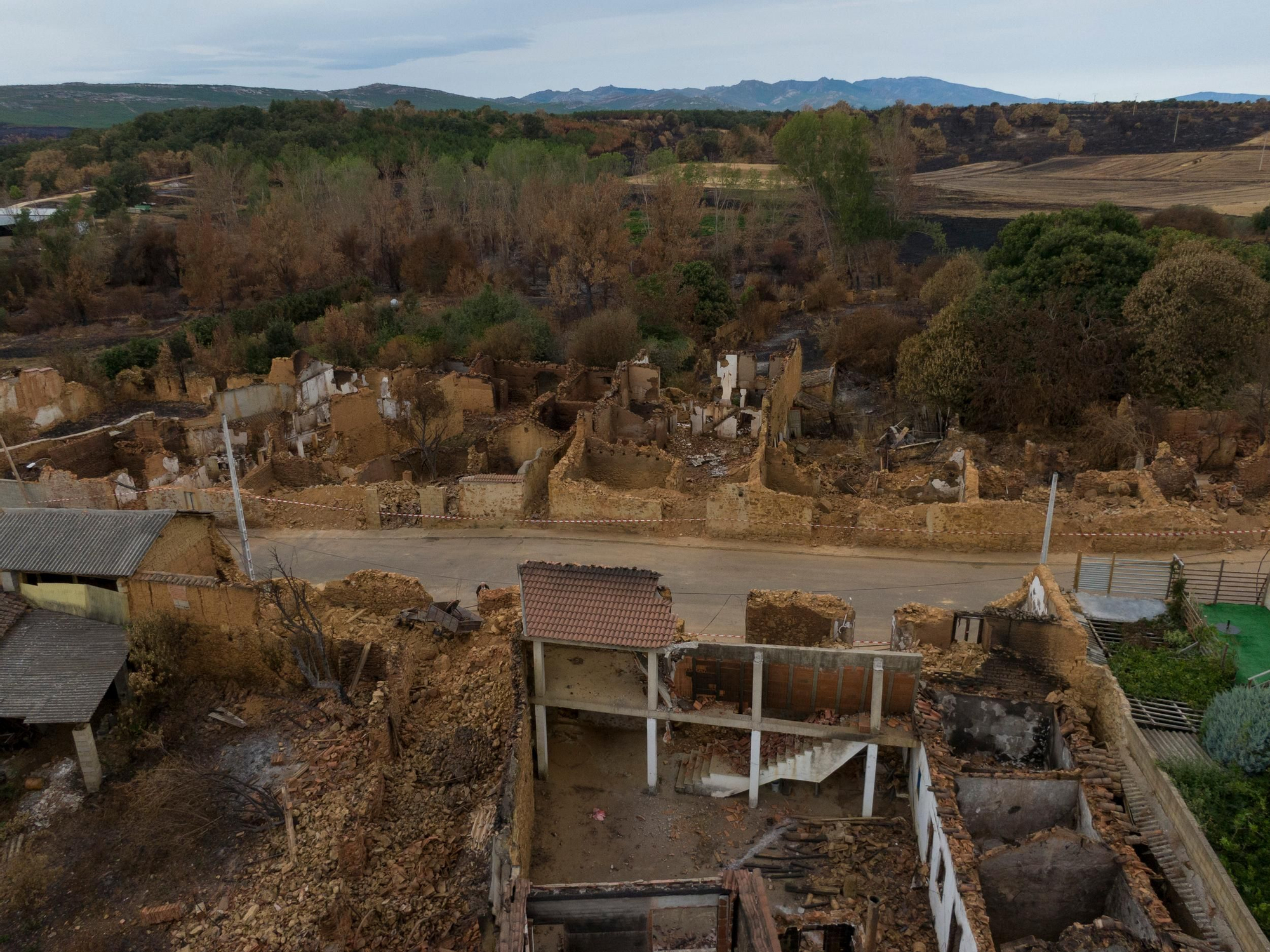 La devastación de los incendios del sur de León que impulsa la campaña internacional de Greenpeace