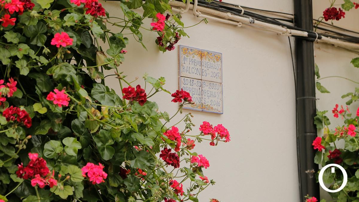 Rejas y Balcones en la C/ Manuel Soro Tinte, 3