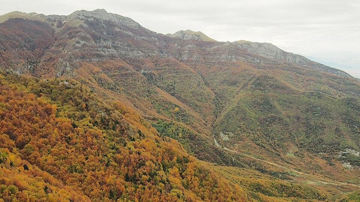 Todo empezó en el Pangeo: el oro acumulado impulsó imperios que crecieron gracias a su control