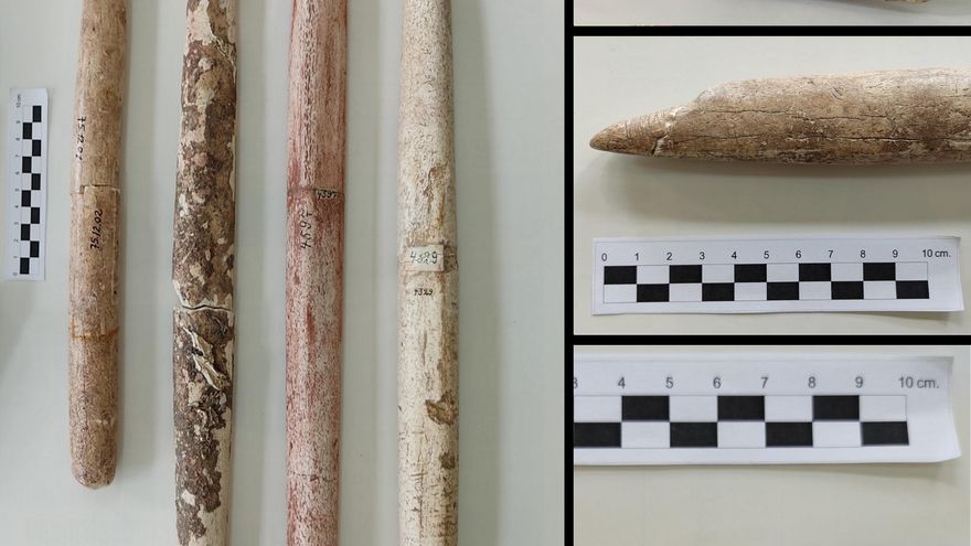 La caza de ballenas empezó en Sudamérica hace 5.000 años, mucho antes de lo que se creía