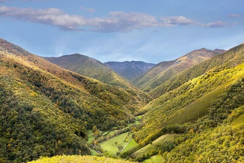Bosque de Munieḷḷos, Cangas del Narcea.