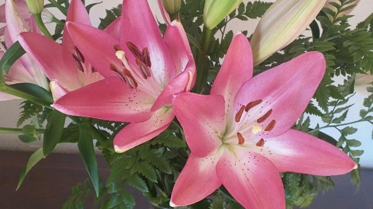 Los lirios: gloria de vivos y muertos  (Lilium orientalis hort. / Liliaceae)