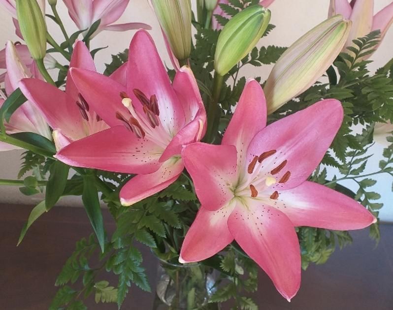Ramo de lirios asiáticos rosados. Foto: PLPP.