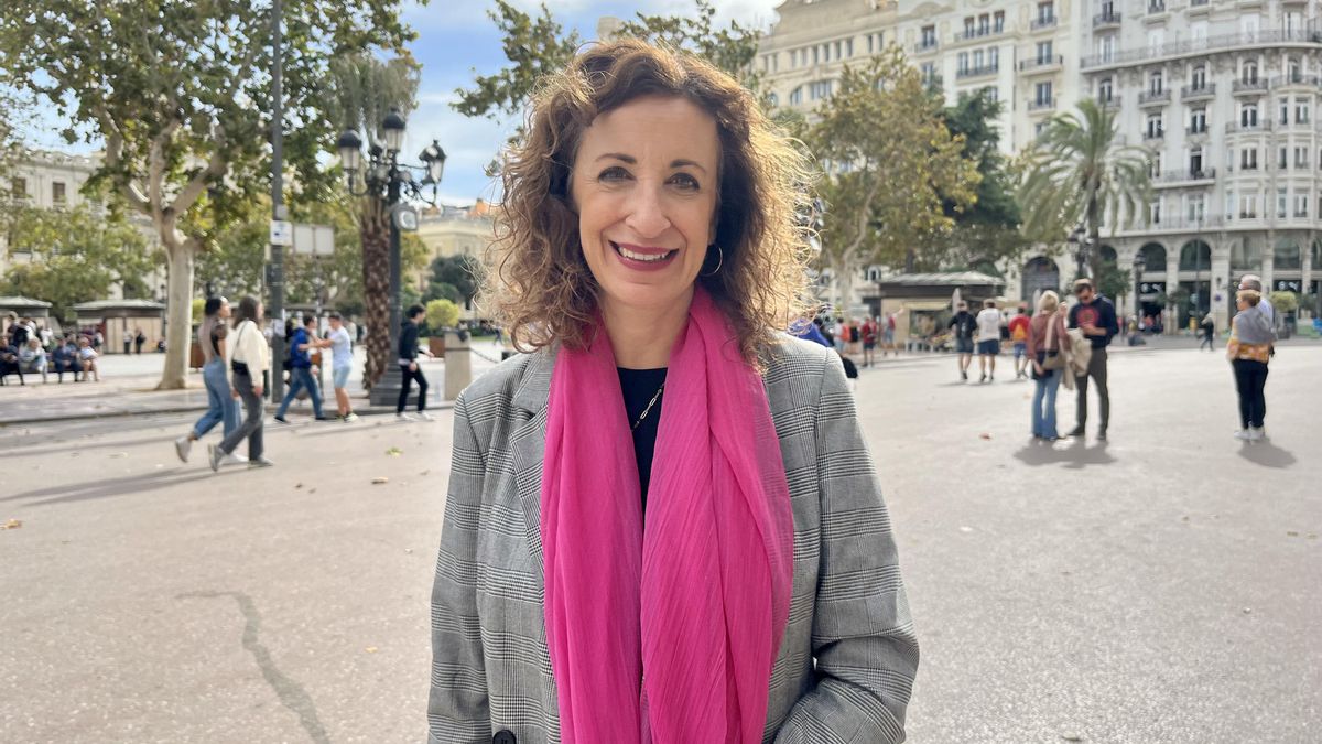 El PSPV denuncia que Catalá da la espalda al valenciano al "borrar" el respaldo municipal a la  Plaça del Llibre