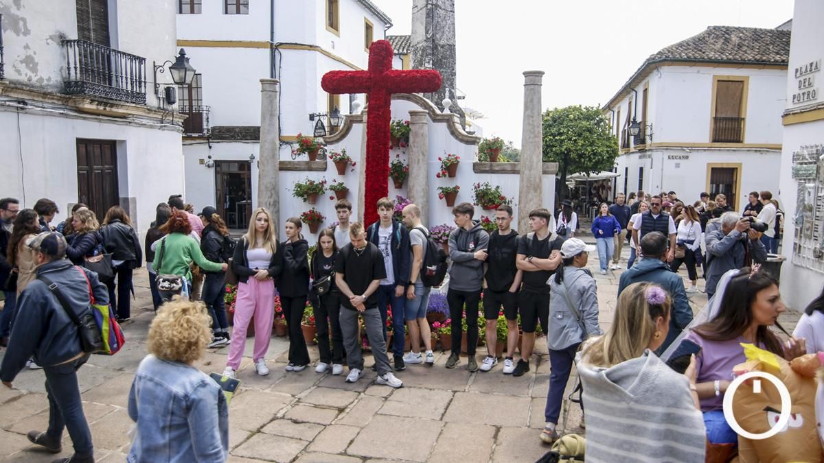 Cruz de mayo de la Asociación Sonrisa de Lunares en la Plaza del Potro
