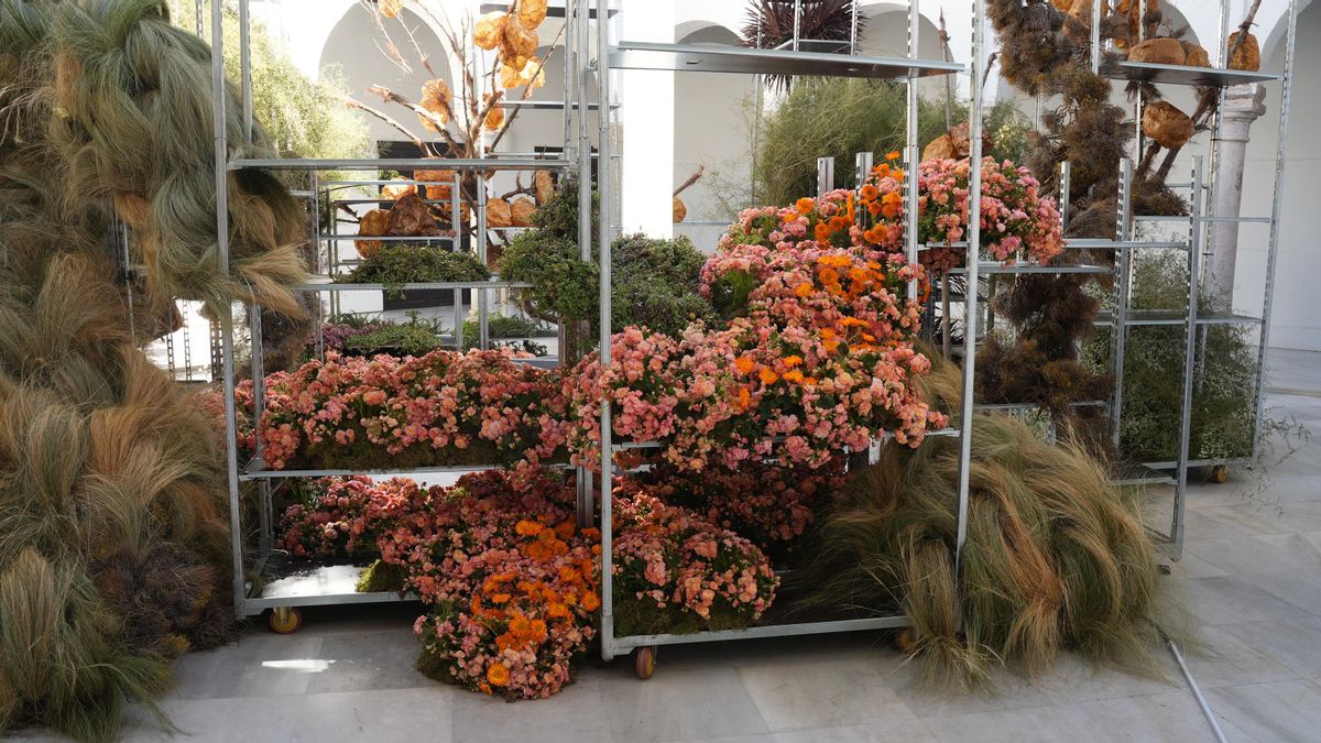 Flora 2025 - ‘Semillas nómadas' (Palacio de Orive)