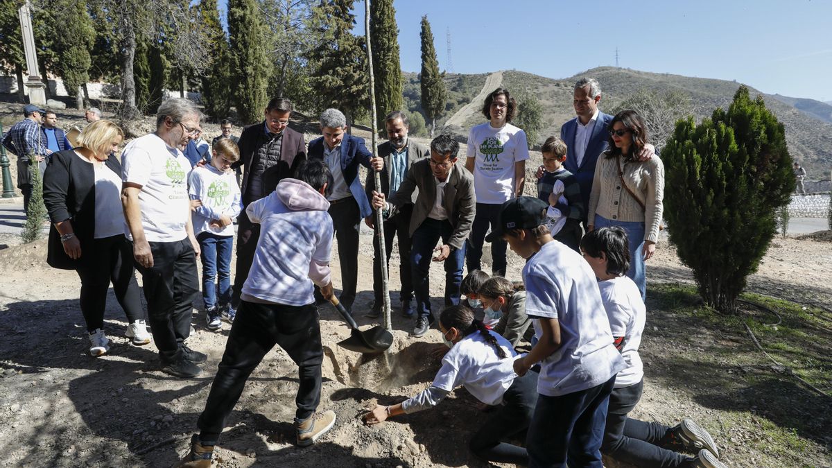 Reforestación llevada a cabo por Plant for the Planet en la Abadia del Sacromonte.