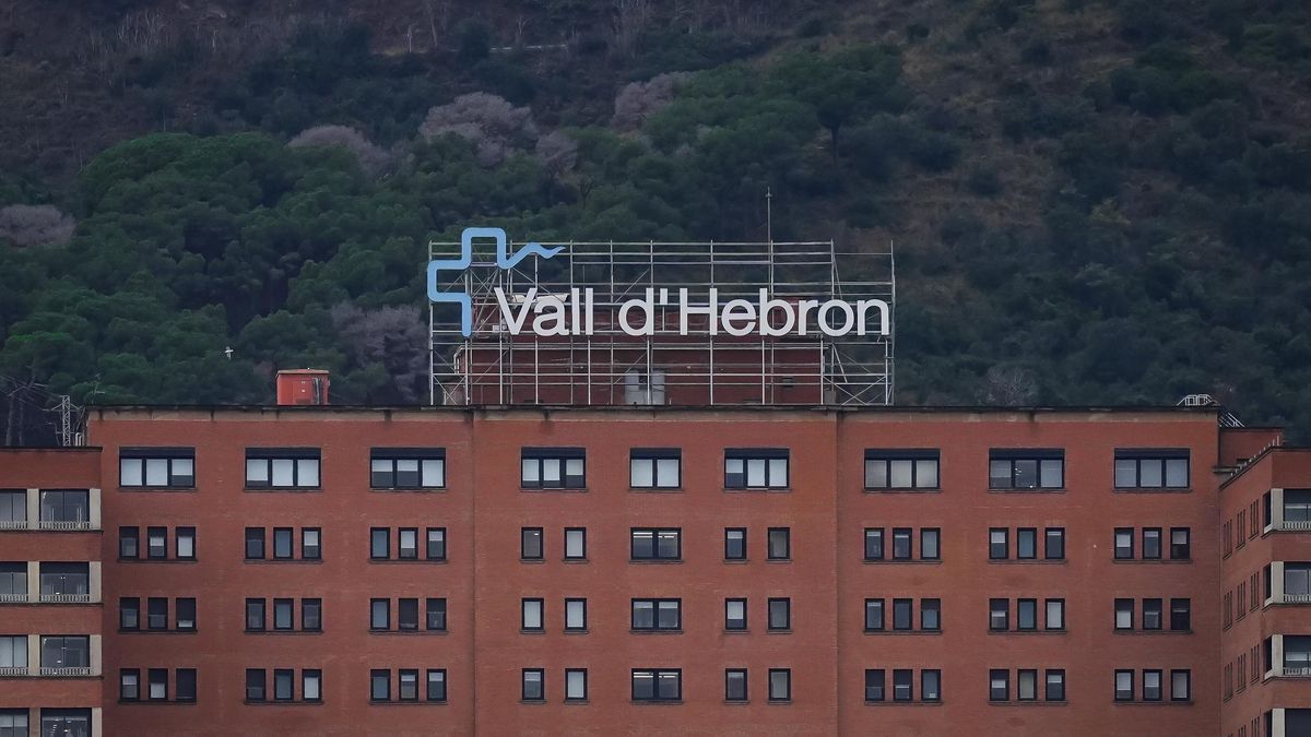 España completa el primer transplante entre personas con VIH: "Mi donante de riñón se merece el cielo"