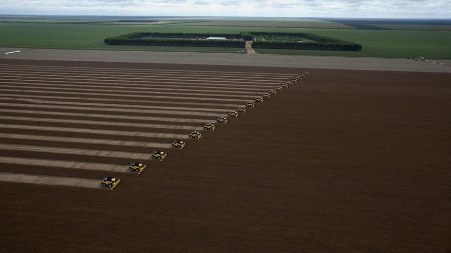 Un quinto de soja y carne de Brasil vendida a la UE procede de la deforestación