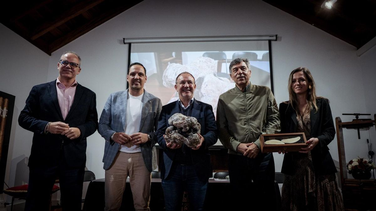 El valioso ámbar gris hallado en un cachalote varado  en Nogales   regresa a La Palma para quedarse  tras años de investigación