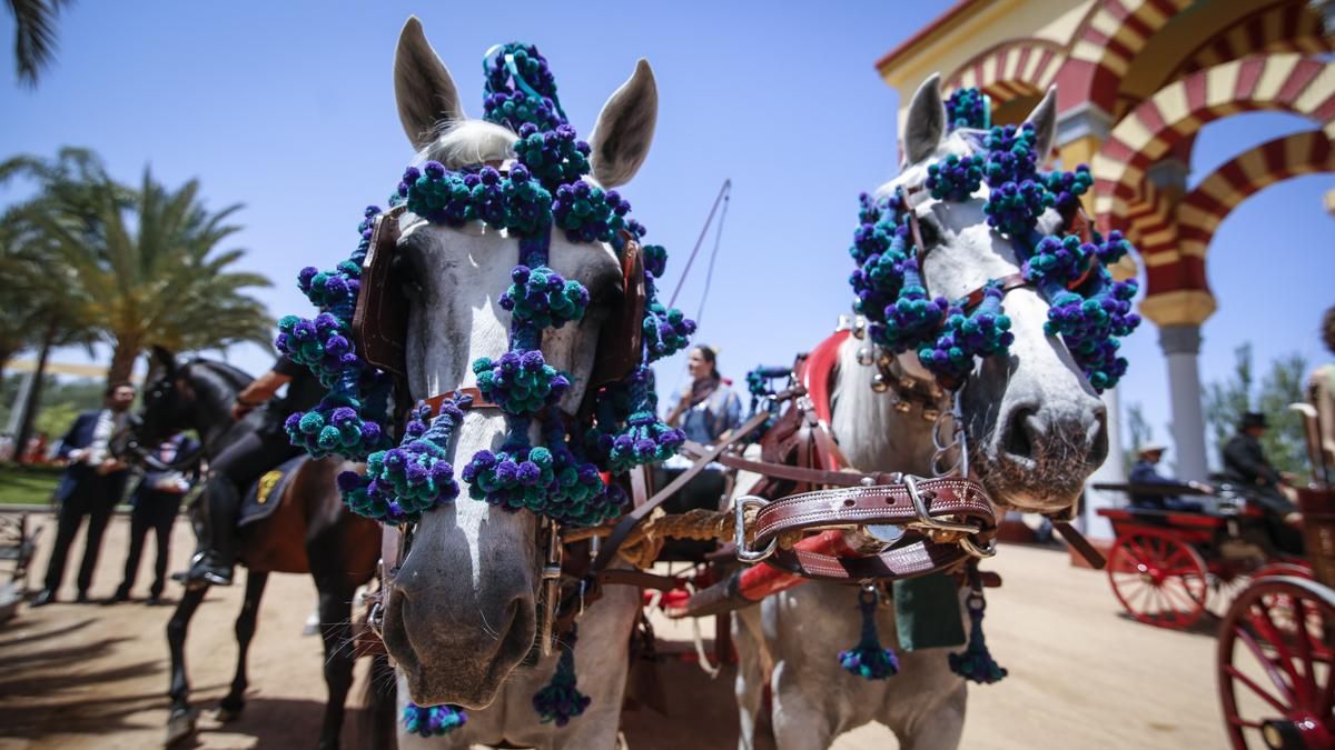 XI Exhibición de carruajes de tradición y llegada del estandarte de la Virgen de la Salud