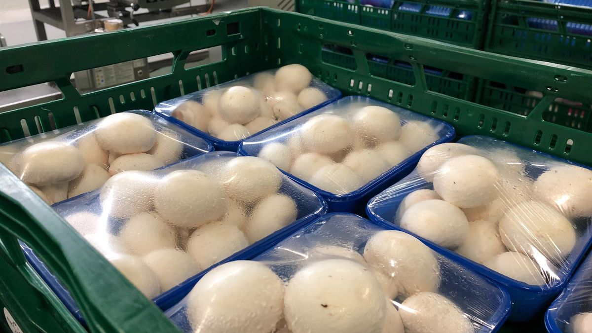 Castilla-La Mancha convoca ayudas para impulsar la integración de industrias agroalimentarias con un millón de euros