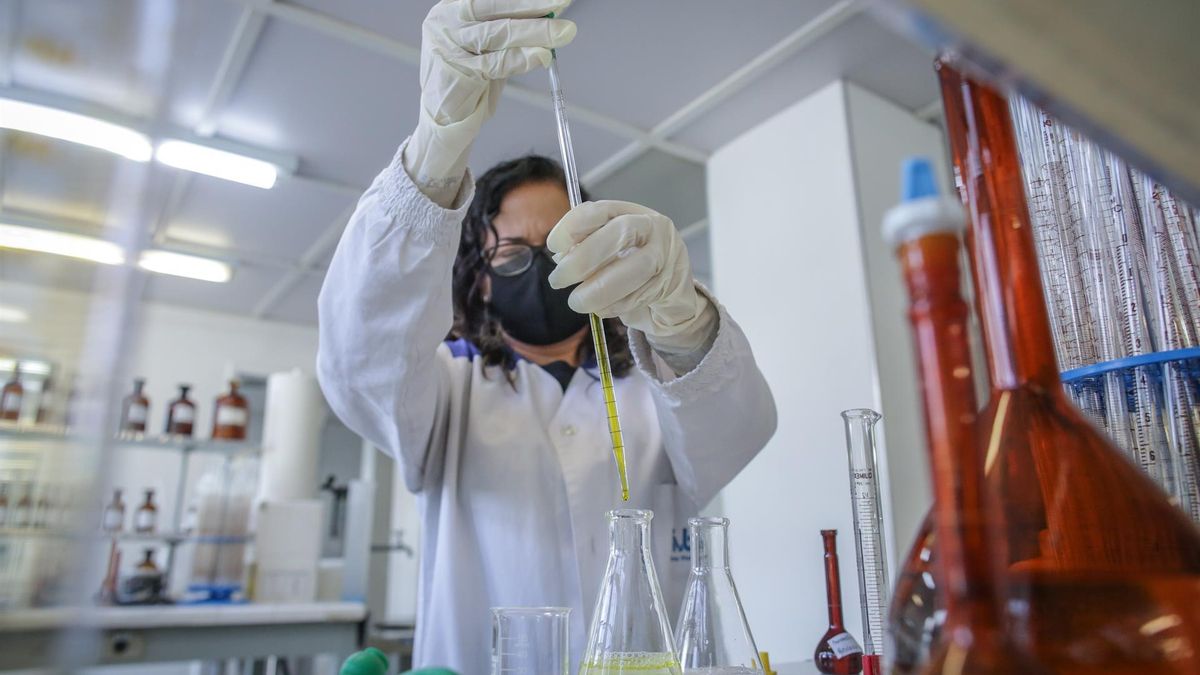 Una científica trabaja en una investigación del Instituto Vital Brazil sobre coronavirus