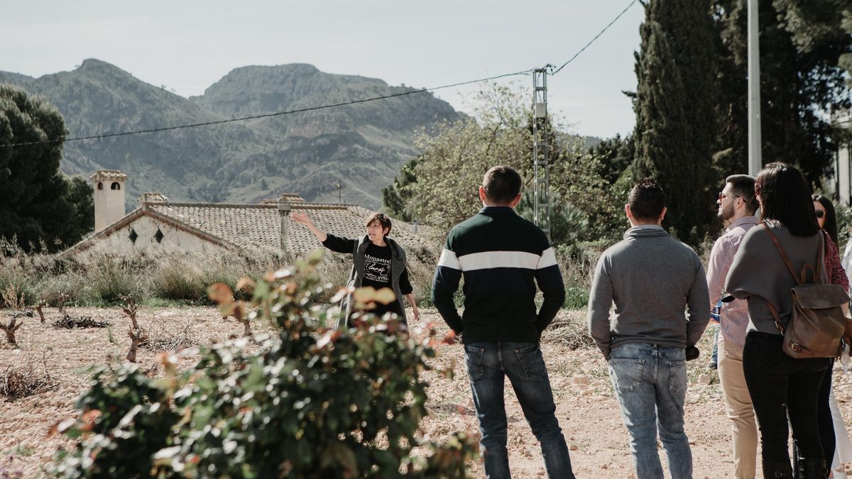 Actividad Vendimia Abierta
