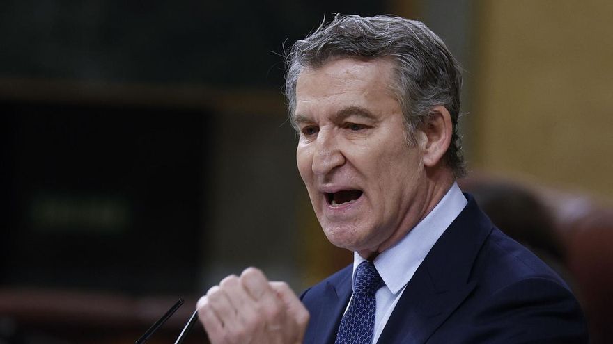 El presidente del PP, Alberto Núñez Feijóo, interviene desde la tribuna de oradores