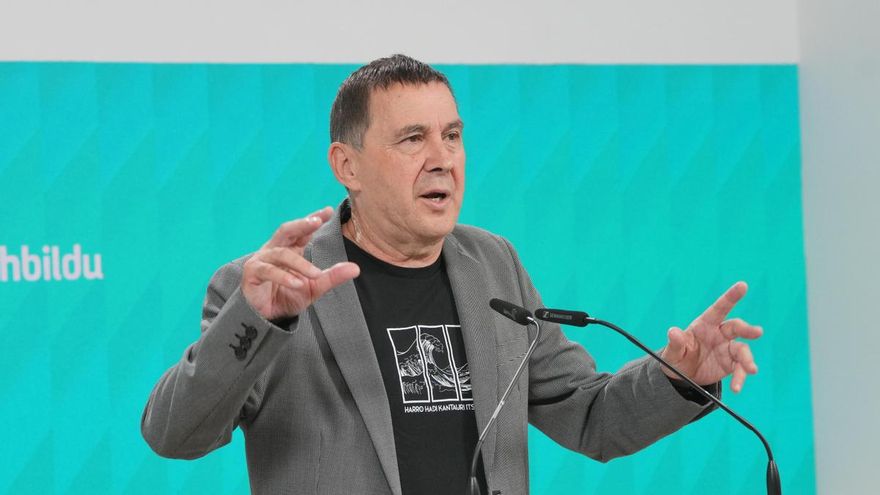 El secretario general de EH Bildu, Arnaldo Otegi.
