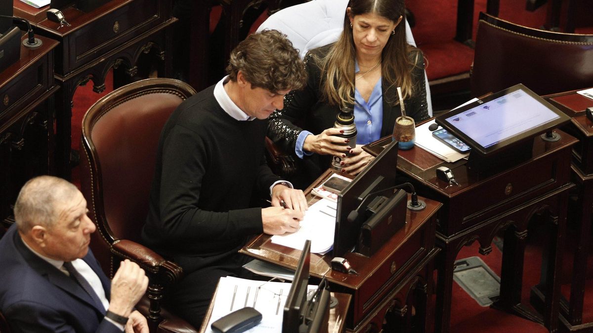 Guadalupe Tagliaferri y Martín Lousteau votaron a favor de la ley