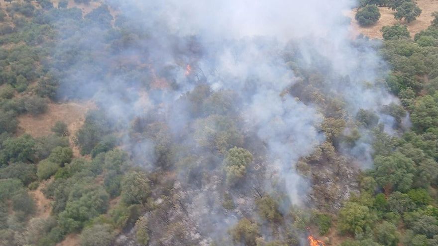 Así se coordinaron los bomberos del Infoca y los voluntarios de Siete Fincas para luchar contra el fuego en Trassierra