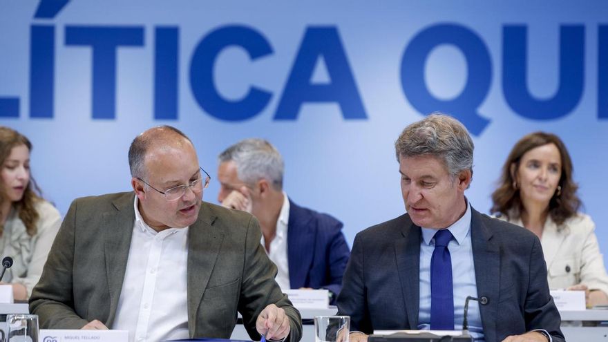 El líder del PP, Alberto Núñez Feijóo junto al secretario general, Miguel Tellado durante un reunión del Comité Ejecutivo Nacional del PP en una imagen de archivo. EFE/ Mariscal