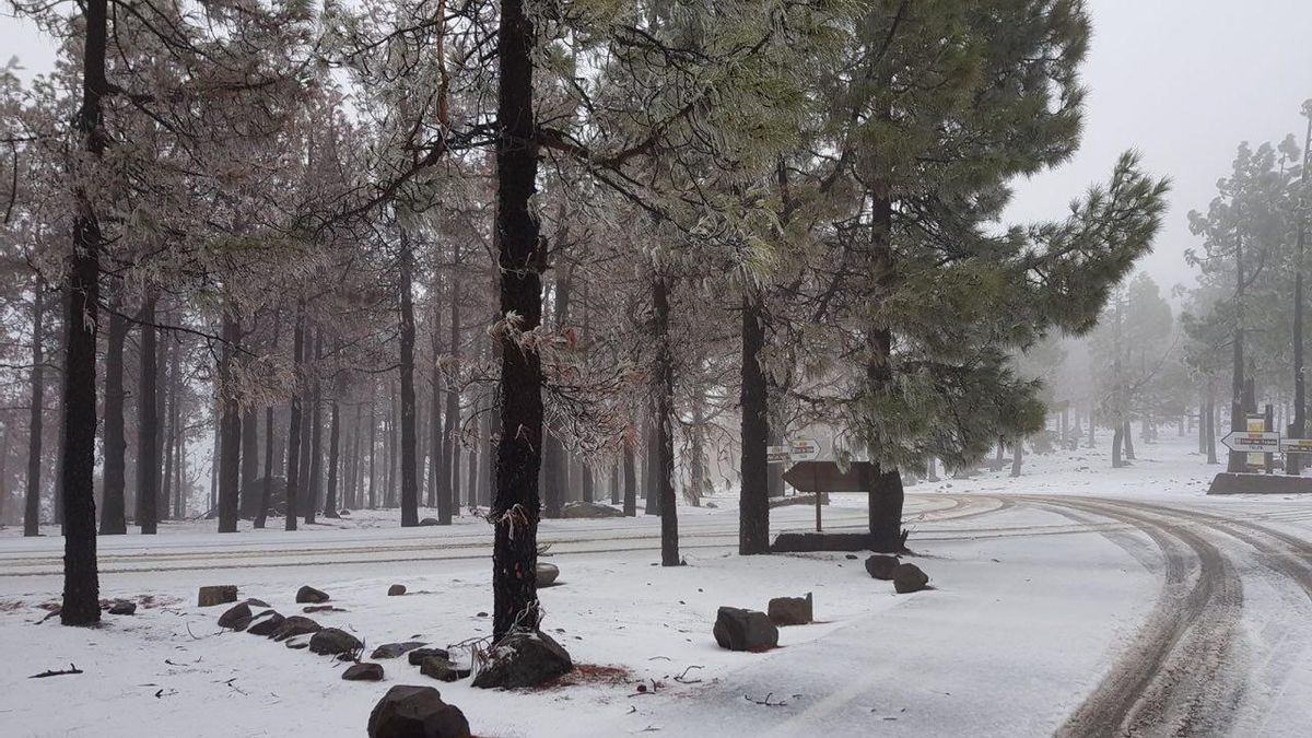 FOTOGALERÍA | Nieve en la cumbre de Gran Canaria