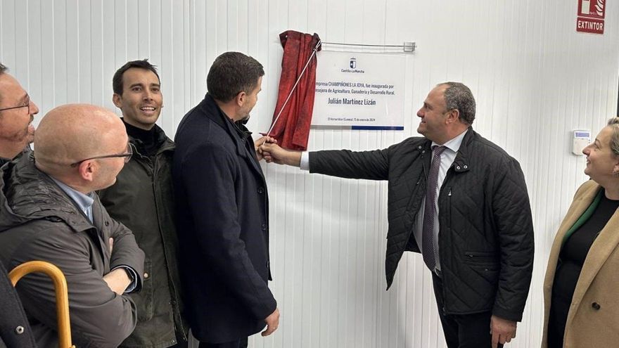 Castilla-La Mancha trabaja para conseguir una nueva figura de calidad para los hongos de La Manchuela