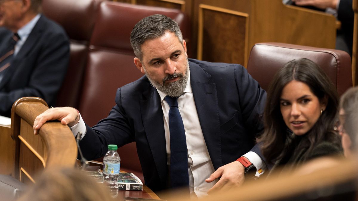 Archivo - El líder de VOX, Santiago Abascal, durante una sesión plenaria, en el Congreso de los Diputados, a 26 de noviembre de 2024, en Madrid (España).