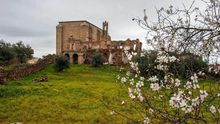 Almendros floridos ante las ruinas del convento de San Antonio de Padua