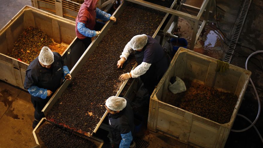 Exportaciones chilenas crecen 6,3 % en mayo pese a aranceles impuestos por Estados Unidos