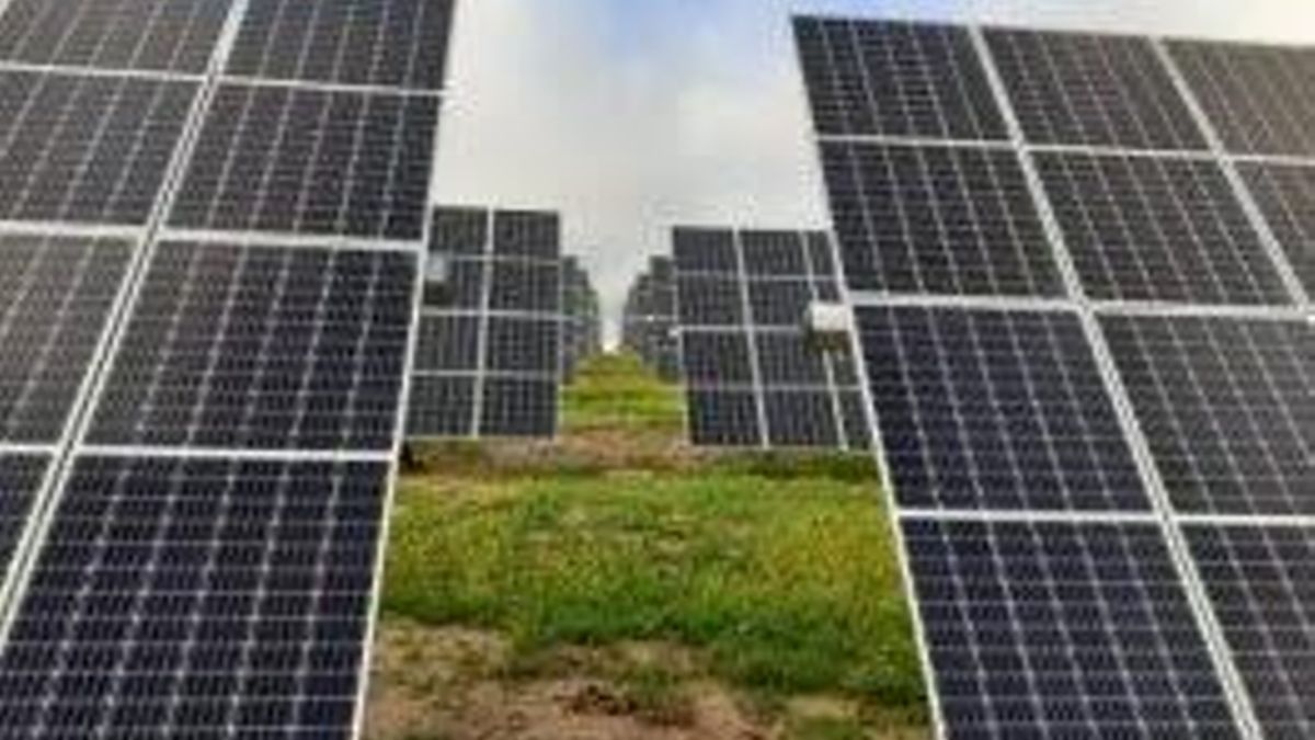 Endesa trabaja para instalar una nueva planta solar fotovoltaica en Gran Canaria.