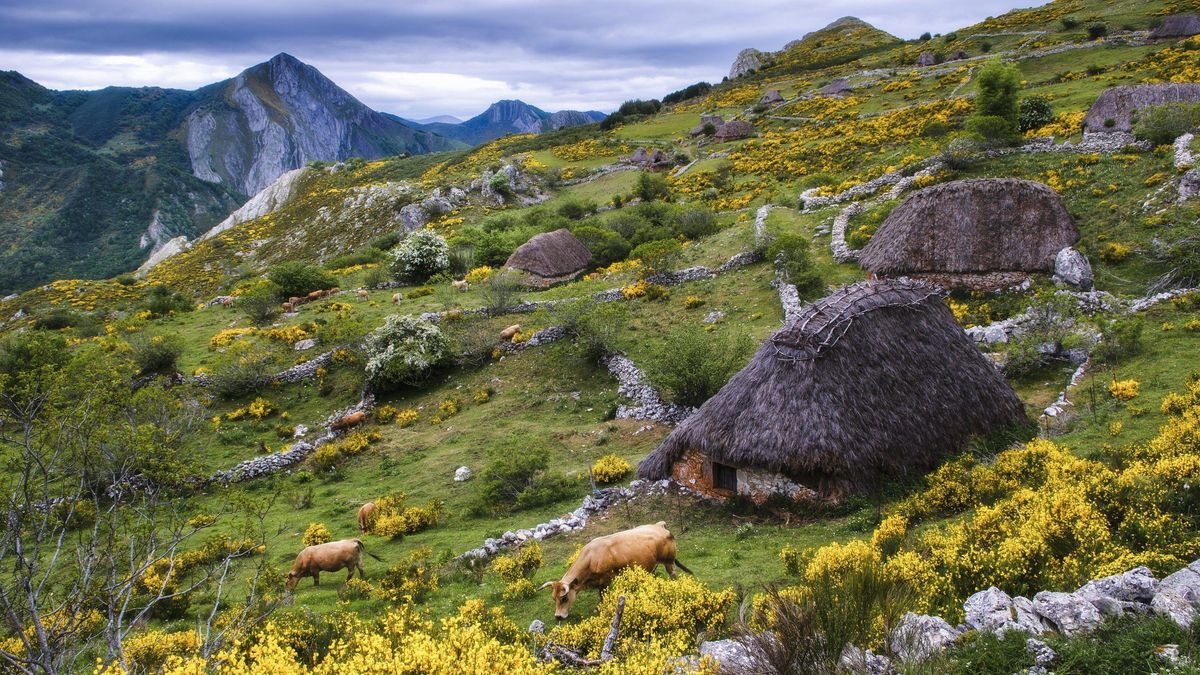 En los años noventa se llegaron a contabilizar en esta zona unos 300 teitos