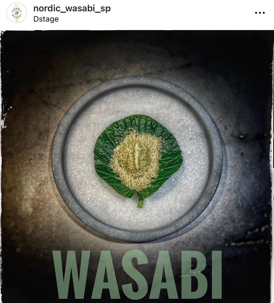 Wasabi