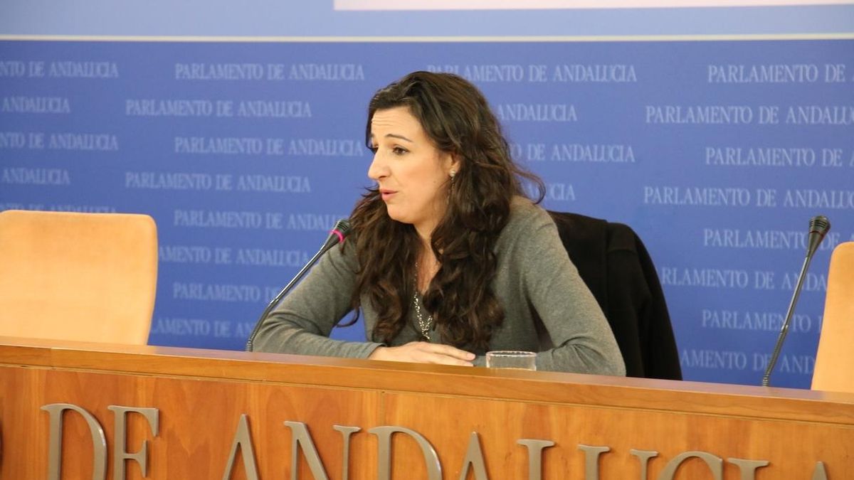 Podemos asegura que un informe de los letrados del Parlamento ve "muy novedosa" su ley para climatizar los colegios