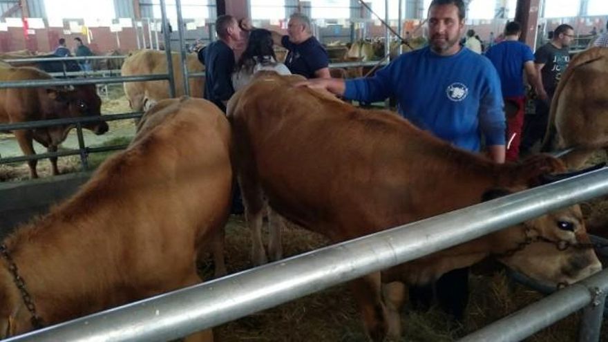 El ganadero Víctor Gutiérrez con sus vacas.