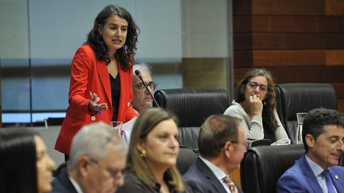 La portavoz de Unidas por Extremadura, Irene de Miguel, en el pleno de este jueves