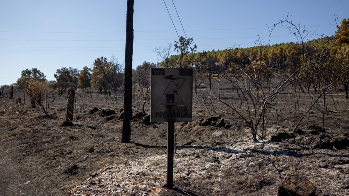 El incendio de la sierra de Madrid queda estabilizado aunque se mantiene un dispositivo de seguridad