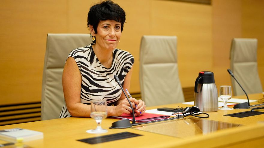 La ministra de Inclusión, Seguridad Social y Migraciones, Elma Saiz, comparece ante la comisión del ramo del Congreso de los Diputados.