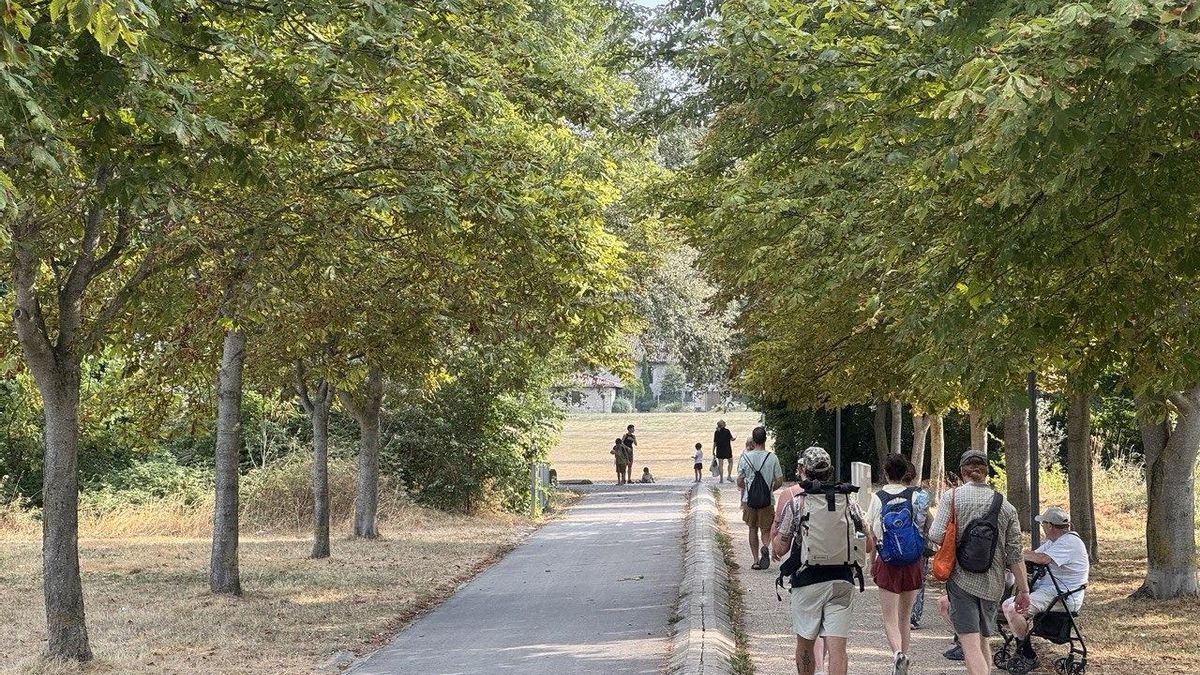 Locales y visitantes, buscando el parque de Olárizu para ver el eclipse