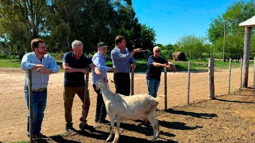 Del quiebre de la UCR a la vuelta de Larreta: el sinuoso camino hacia 2025 de la ancha avenida del medio